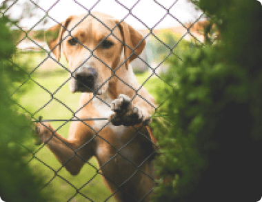 万能录屏大师免费 v1.0.6