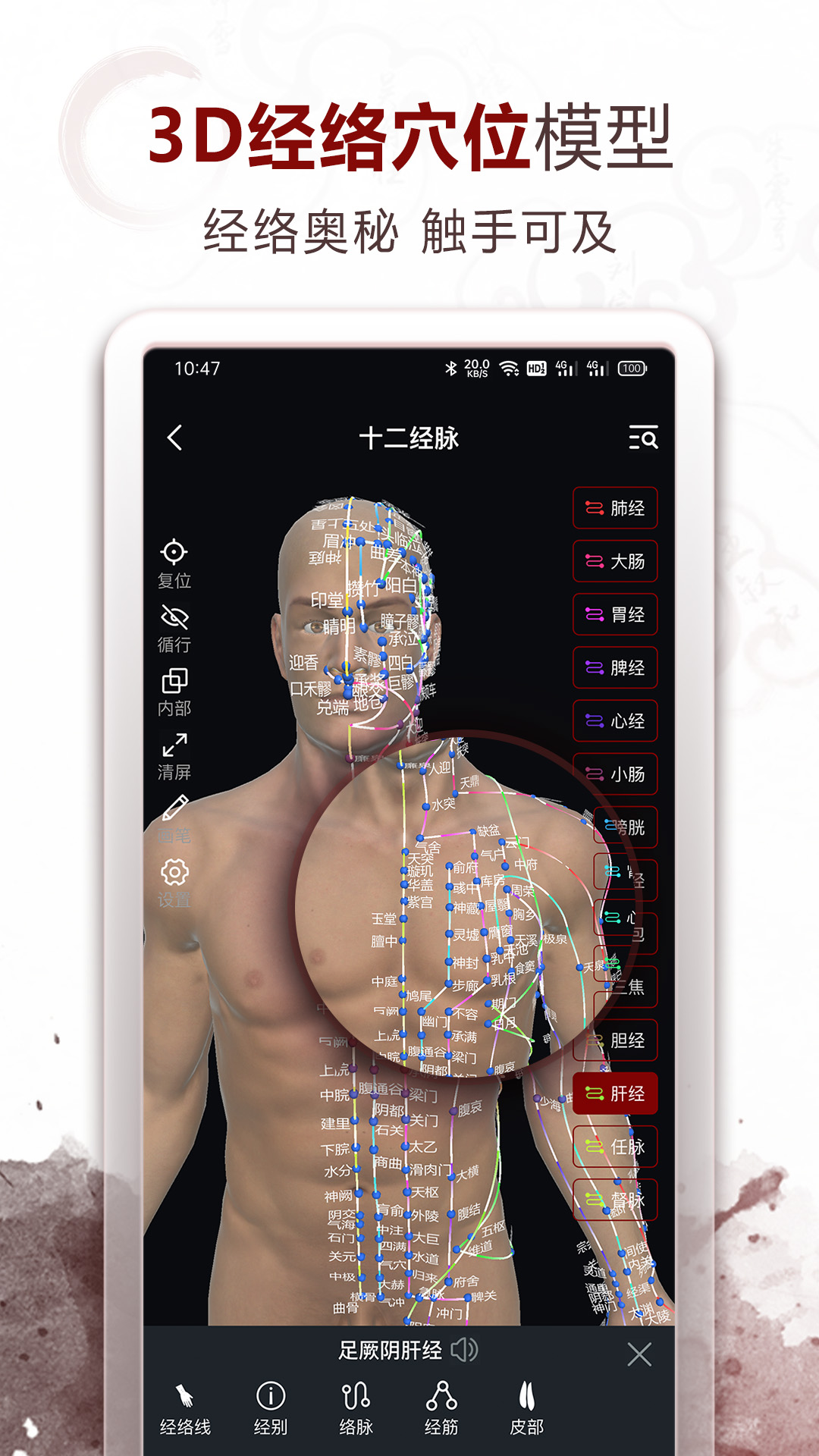 中医经络穴位app v3.0.1