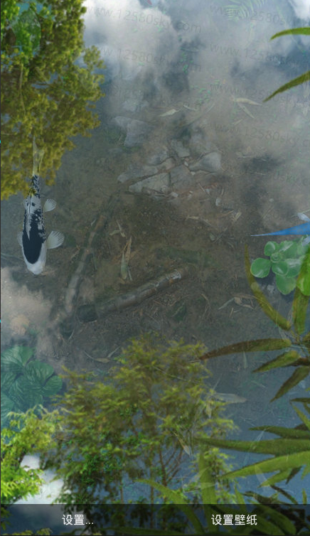 鱼池动态壁纸完整版 v2.01