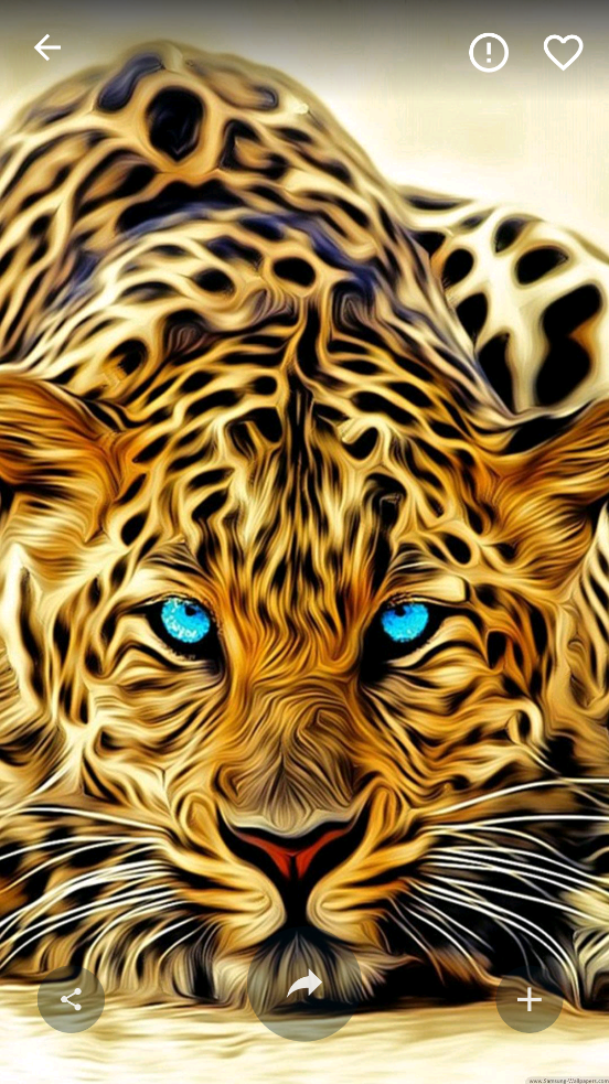 4kwallpapers最新版 v4.5