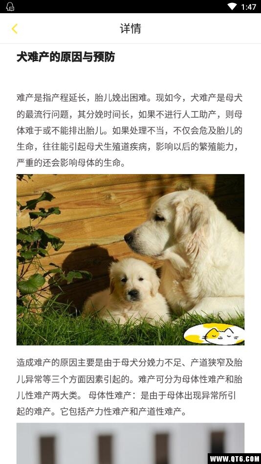 训狗养狗助手 3.8.4安卓版 v3.8.4