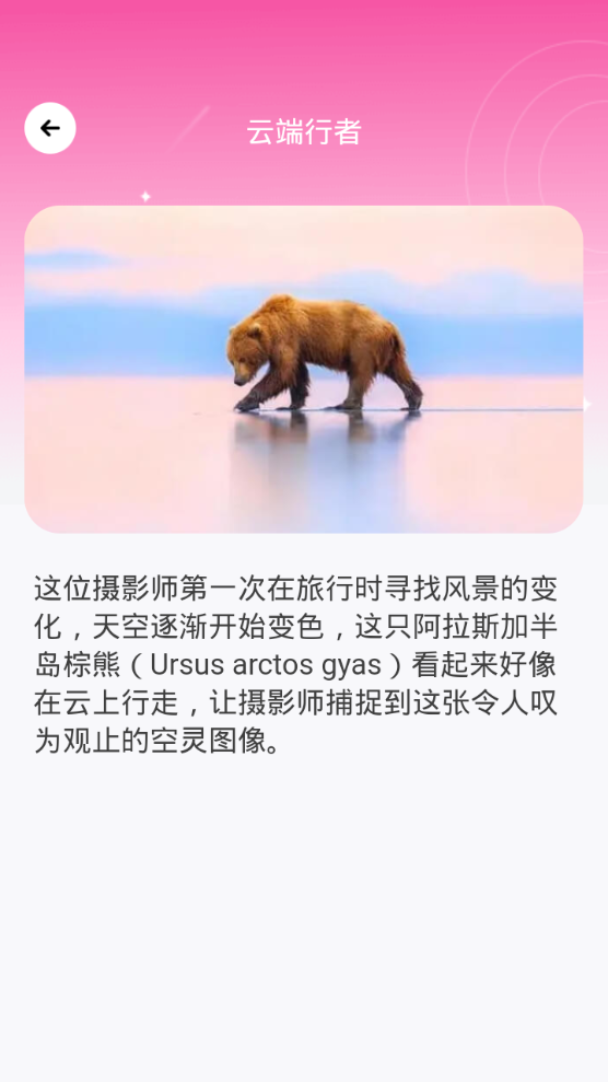 千颜秀软件 v1.0.0