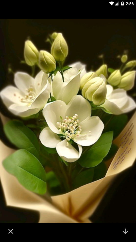 神图壁纸精灵软件 v1.1