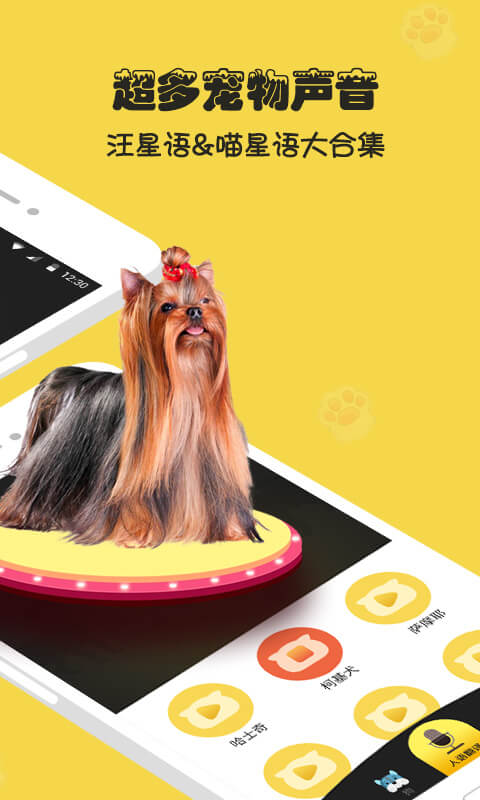 人狗猫交流器app 2.3安卓版 v2.3