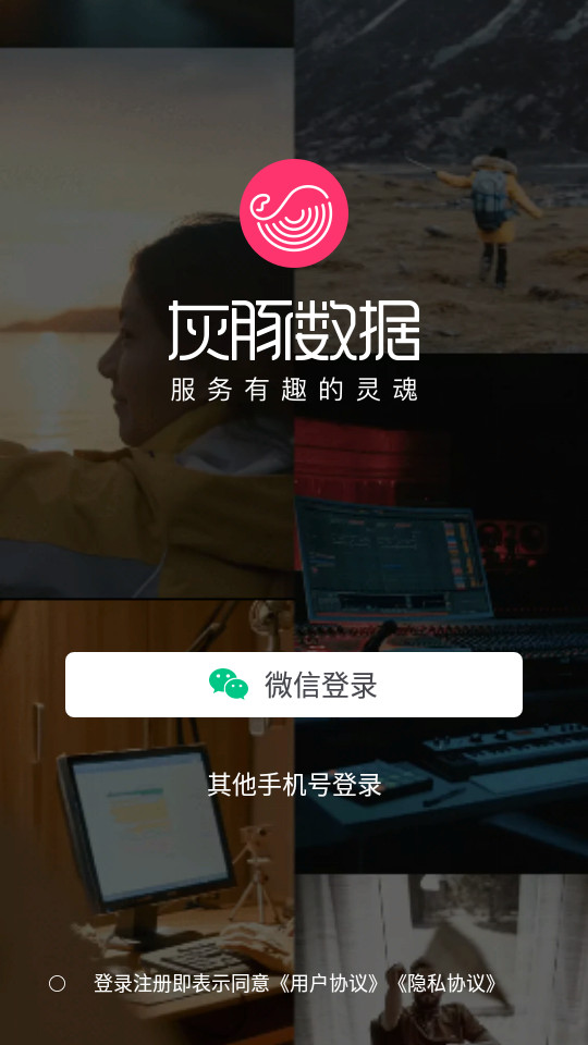 灰豚数据app v3.9.4
