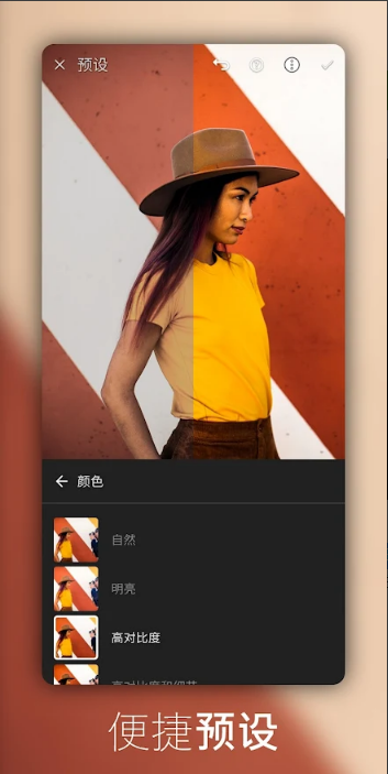 lightroom安卓版 v10.5.4