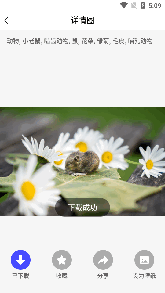 图片素材之家免费版 v23.9.6