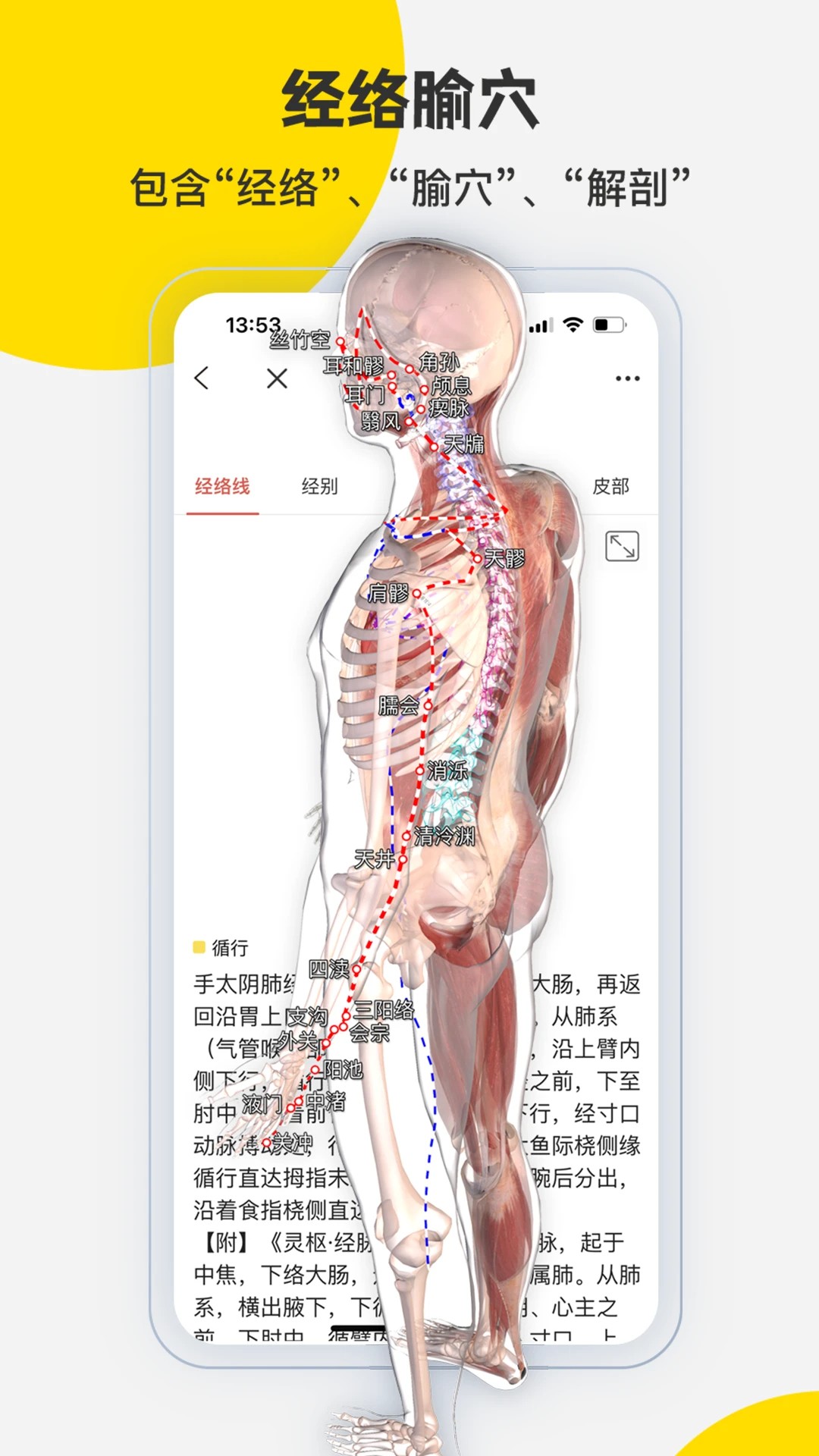 3Dbody解剖 解锁vip版 v8.8.72