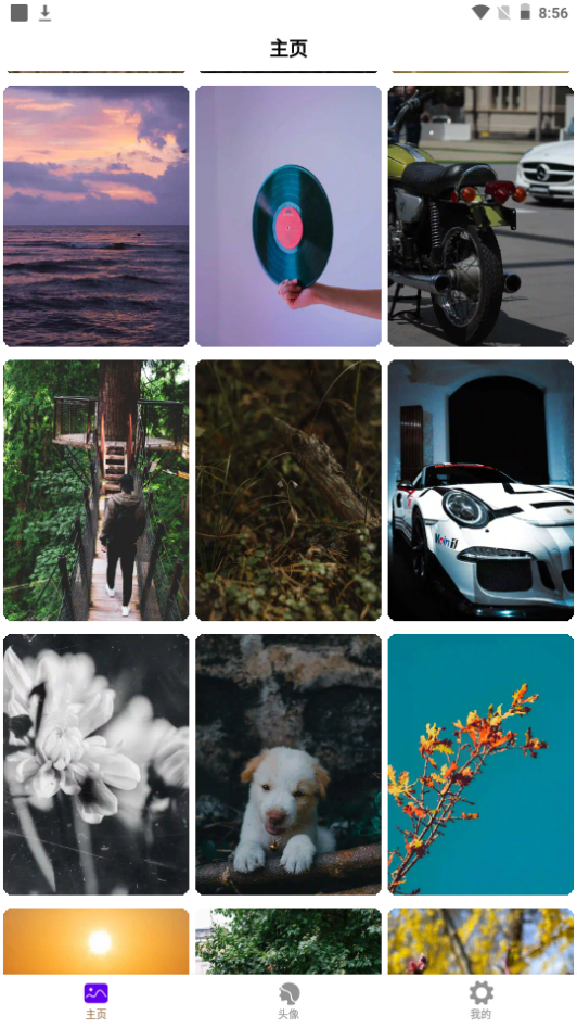 秀彩壁纸软件免费 v1.0.1