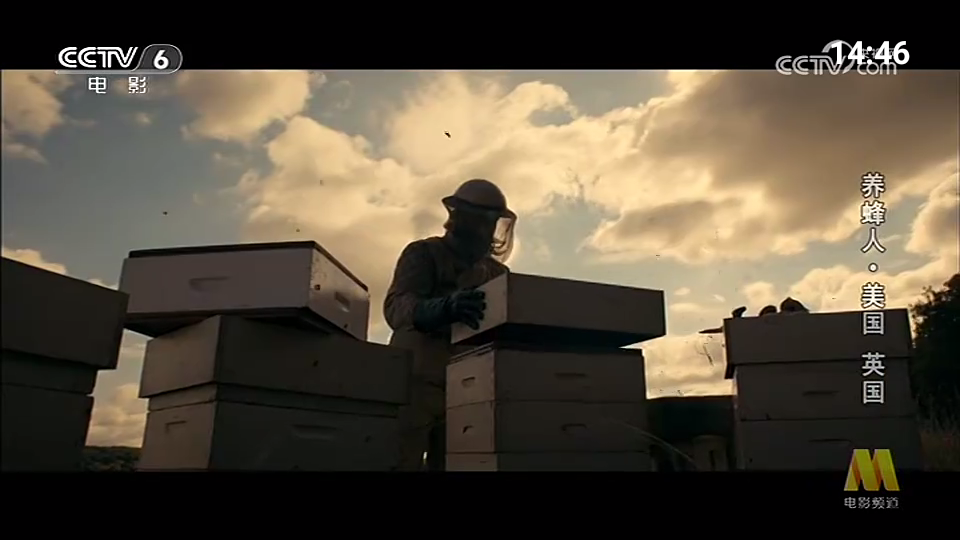 我的电视一直播 v1.0.14