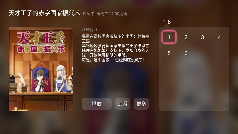 哔哩哔哩tv版包版 v1.6.6