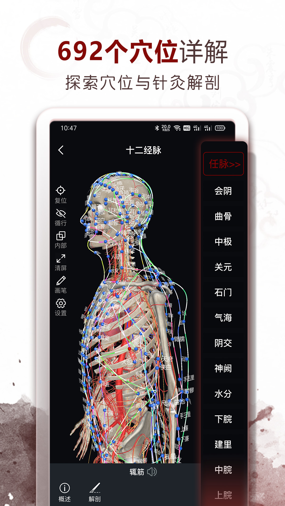 中医经络穴位app v3.0.1