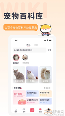 宠布丁线上商城app v1.0.1