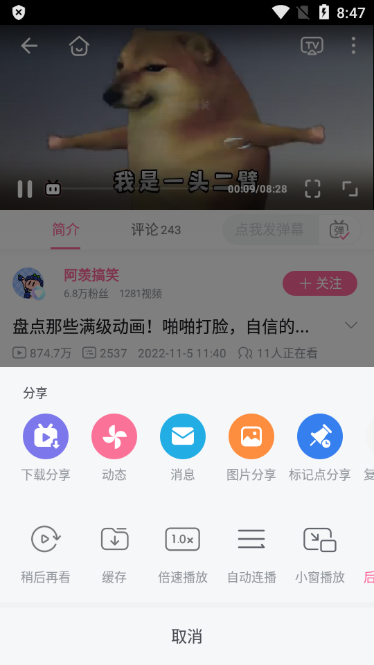 b站内置大会员画质版app v8.23.0