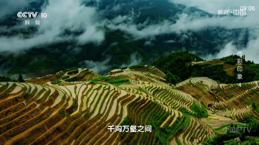 频道多多直播官方最新版本 v1.4.0